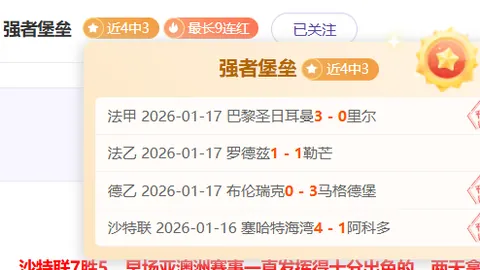 荷兰球星遭挑衅引发球场混战：冲突加剧，女裁判反应震惊
